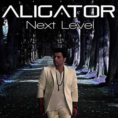 Dj Aligator Alone